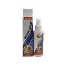 케어 구강 스프레이 120ml 겸용 시츄 강아지 강아지치약 미니핀 그레이하운드 풍산개 말티즈 파피용 애견