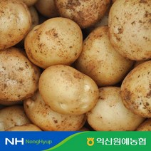 익산원예농협 국내산 100% 포슬포슬 수미감자 (특등급 2kg 3kg 5kg 10kg), 감자 특 3kg