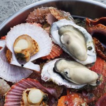통영장어농장 통영 석화+가리비 세트, 1박스, A세트(석화2kg+비단가리비2kg)