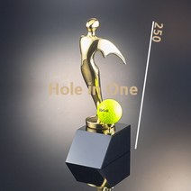 이글패 싱글패 홀인원패 골프트로피 상패 골프패 골프상패 트로피 이글기념패 싱글 사은품드립니다(밴드볼마크 실리콘볼마크)중 택일
