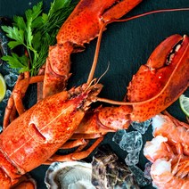 캐나다 자숙 냉동 랍스타 점보 특대 400g 1kg 5kg 대왕 랍스터, 6마리(추가할인)