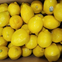 꼭지네 팬시 레몬(개당 120g 내외) 정품 1.5 3 5 10kg, 레몬 10kg(약 81~85개)