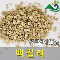 백질려(300g)-수입산