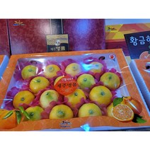제주도 황금향 5kg(16-20과) 제주도 제주 황금향 감귤 택배 명절 선물 세트