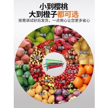 감 과일선별기 사과 복숭아 토마토 계량 고정밀 무게 자동 배 크기, 커스텀컨베이어