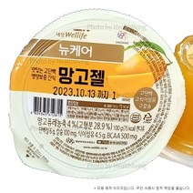 [뉴케어] 영양간식 망고젤 100g, 10개