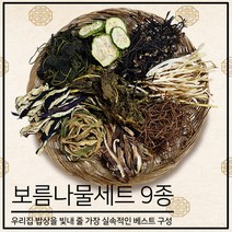 하늘농가 보름나물세트 건나물 9종세트