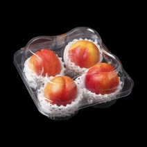 태방샵 공식쇼핑몰TB-304-4 (대봉4입_대)과일 야채 채소 포장재 필름 봉투 용기 PE OPP PET