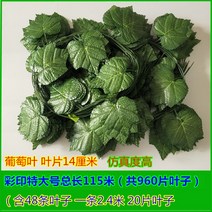인조 스킨답서스 리얼 포도잎 그린 라바 등나무 가지 꽃 라탄 실내 음식점 지붕 천장선반 장식 파이프라인 1708795035, 컬러프린트 특대사이즈 48 스틱 11