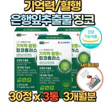 뇌 영양제 징코 기억력 혈행 은행잎추출물 30정 150mg 두뇌 건강 비타민 B1 B2 B6 아연 부모님 수험생 건강기능식품, 3통(3개월)