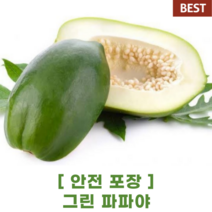 [ 안전포장 ] 그린 파파야 5kg green papaya 쏨땀 재료 필리핀 동남 아시아 식재료 샐러드 동남아 특수 채소 야채 과일, 1개