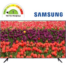 삼성전자 55인치 사이니지TV 비지니스 TV 모니터 유튜브 UHD 4K LED 1등급 BE55A-H 1등급 [무료설치][무료폐가전수거], 163cm/65인치, 아니요, 스탠드형
