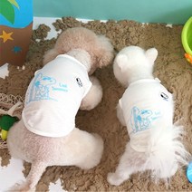 패리스독 피너츠 쿨썸머 티셔츠(화이트) 427350, P0000XEI000A