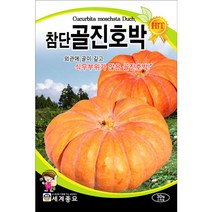참단골진 호박 씨앗 맷돌 채소 종자 야채 씨 30알