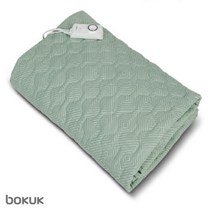 보국 에어셀 아르데코 전기요 베이직 전기매트 BKB-2604S BKB-2604D, 보국아르데코전기요/BKB-2604S(싱글)