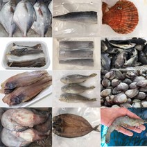 정서방네 온라인생선가게 골라담기 생선 새우 장어 바다생선, 전복 중 1kg