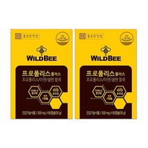 종근당건강 와일드비 프로폴리스 플러스 60캡슐 x 2박스