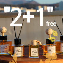 [2+1] 센트롯지 천연아로마 디퓨저 오렌지부케 50ml, 긴 스틱, 나무스틱