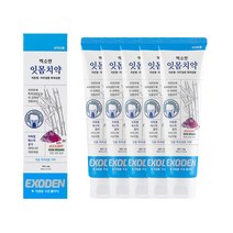 엑소덴 잇몸치약 120g, 5개