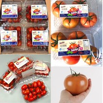 푸드삼대장-스테비아 커플 샤인마토 토망고, 샤인마토 500g X 2