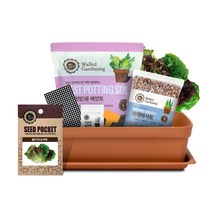 화분월드 베란다 텃밭 상추 야체키우기 미니 텃밭세트, 브라운