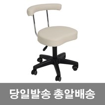 미용 등받이 병원 보조 바퀴 무빙 원형 작업 진찰 진료 바퀴달린 피부미용 스툴 의자, 5.등받이보조의자 아이보리, 1개
