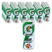 게토레이 레몬 240ml X 30캔
