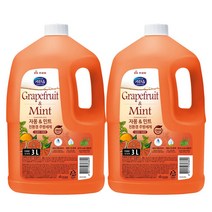 키친솝 자몽앤민트 친환경 주방세제 3L x 2개, 단품