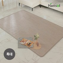 한솔 KCC 숲옥 2.2 카페트매트 특대형, 단품