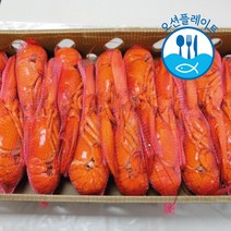 [대용량] 자숙랍스터 4.54kg 1박스 (냉동 버터구이 찜 구이), 350/400