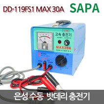 은성전자 딩동파워 충전기 DD-119FS1-MAX-30A 12V 전용 수동충전기 자동차 배터리 차량용, DD119FS1(30A) 12V전용 수동충전기