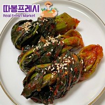 돌산갓김치담기  베스트 TOP 인기 50