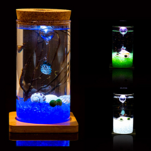 마리모 키우기 꾸미기 코르크병 LED 유리병(6.5x12.5), 단품