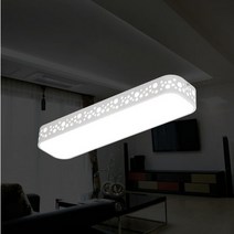 라리앙 LED주방등 30W 프리미엄 조명 삼성LED LED등 전등교체, 무화, 선택완료