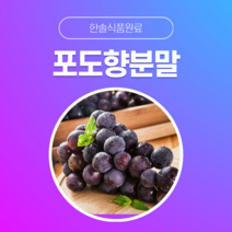 [한솔식품원료] 포도향분말 (Grape flavor powder) (분말 Type) [50g/100g/1kg/5kg/10kg], 50g, 1개