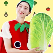 배추 쿠션 50cm 야채 채소 모양 베개, 단품