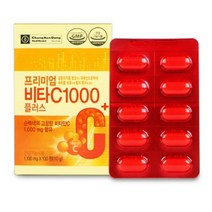 종근당 건강 비타민C 1000 프리미엄 비타씨 1000 100정, 100정(3개월) x 6개, 1000개