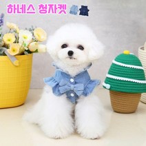 강아지 청자켓, 연청/M