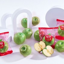 자연품애 착한 세척 썸머킹 아오리사과 2.5kg 외 옵션선택, 착한 세척 썸머킹 사과 2.5kg 소과