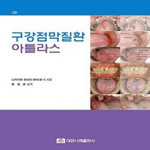 NSB9788957417294 새책-스테이책터 [구강점막질환 아틀라스] ---대한나래출판사-나카가와 요이치 지음 윤정훈 옮김-구강내과(진단)-20200, 구강점막질환 아틀라스
