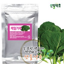 국내산 케일 가루 분말 조미료 향신료 70g