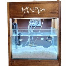 원목어항진열대 맞춤제작