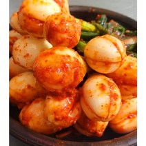 맛과 정성 주문후만든는 해남 해주네 반찬(김해주), 1개, 1kg