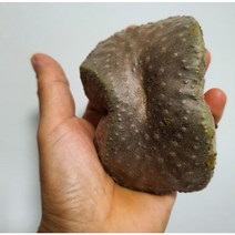 [산지직송]열매마 2kg 3kg 둥근마 하늘마 산마 특품 특상품 선물용 가정용 효능 제이블릭, 열매마 2kg