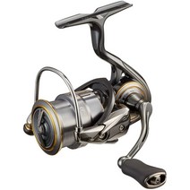 다이와 스피닝릴 21 루비아스 에어리티 LT 2021년 모델, -