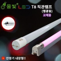 울빛 LED형광등 AC직관 주차장 사무실 공장등, 1200mm, 청색
