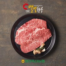 영천별빛촌 [영천축협]영천별빛한우 산적500g / 1+등급, 1