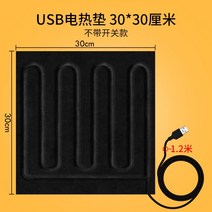 전기담요 usb충전 캠핑 차박 휴대용 사무실, N