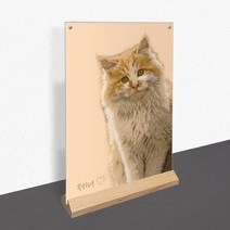 모노치 반려동물 초상화 강아지 고양이 그림 탁상용 아크릴액자 반려견 반려묘 선물, A4 (210x297mm), 07. 일자형 육각우드
