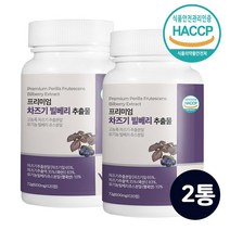 루테올린 차즈기추출물 식약처 식약청 해썹 인증 눈엔 차조기 자소엽 붉은 깻잎 유기농 빌베리 추출 분말 가루 정 캡슐 알약형 타블렛 25배 고농축 원액 액기스 차즈기잎 국내산100%